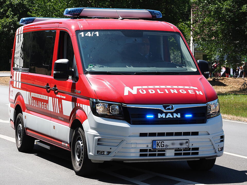 Historischer Festumzug