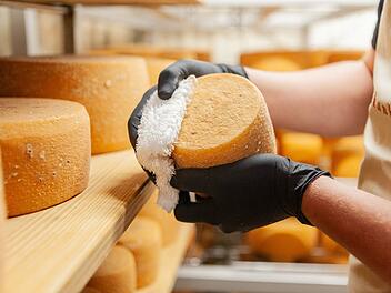 Leckerer handgearbeiteter Ziegenkäse aus der Vulkaneifel verfeinert jedes Weihnachtsessen.