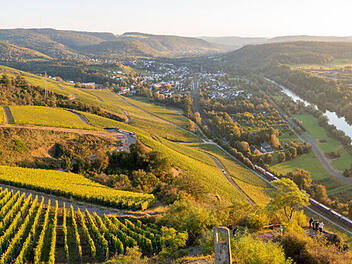 Eine herrliche Aussicht zu allen Jahreszeiten bietet der Wiltinger Saarbogen.