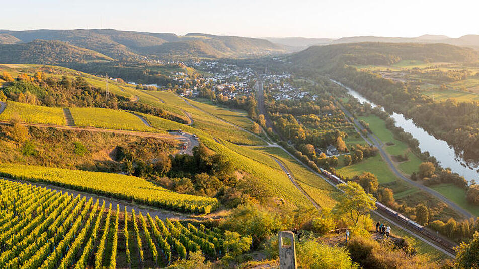 Eine herrliche Aussicht zu allen Jahreszeiten bietet der Wiltinger Saarbogen.