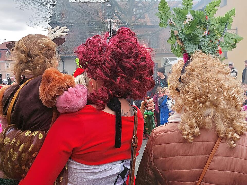 Bamberger Faschingsumzug 2023