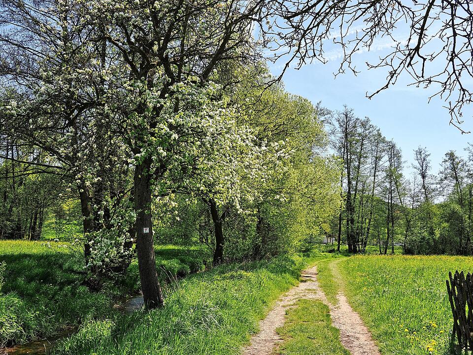 Die Wanderung führt durch eine Kernzone des Biosphärenreservats Rhön.