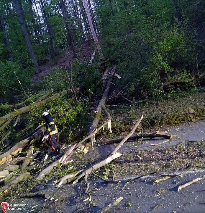 Zahlreiche Einsätze durch Unwetter in Franken: Umgestürzte Bäume fordern Feuerwehr