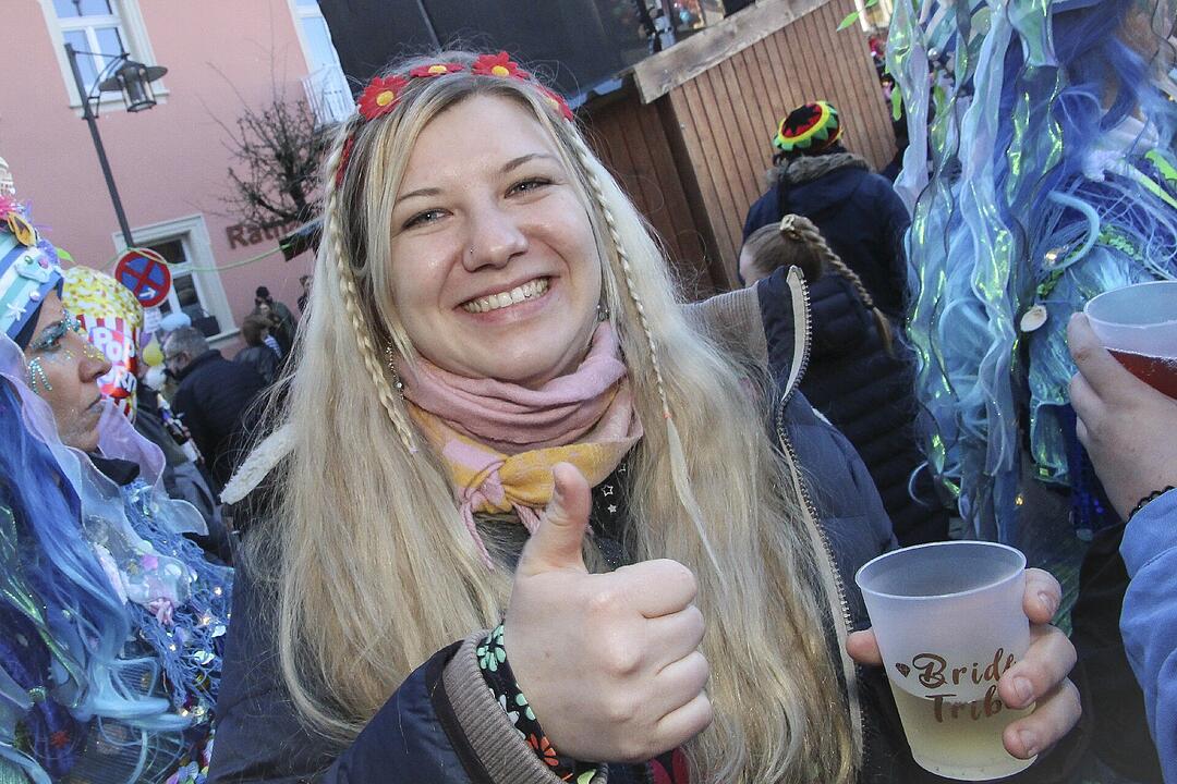 Fasching 2025 in Stadtsteinach!
