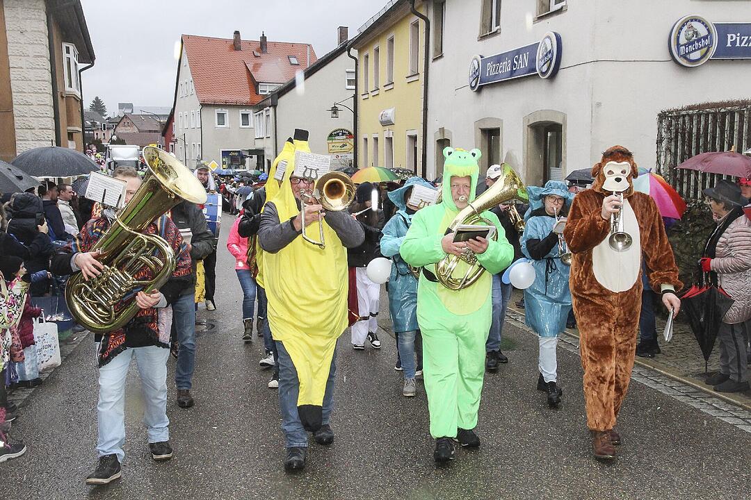 Stadtsteinacher Narrentreiben 2024