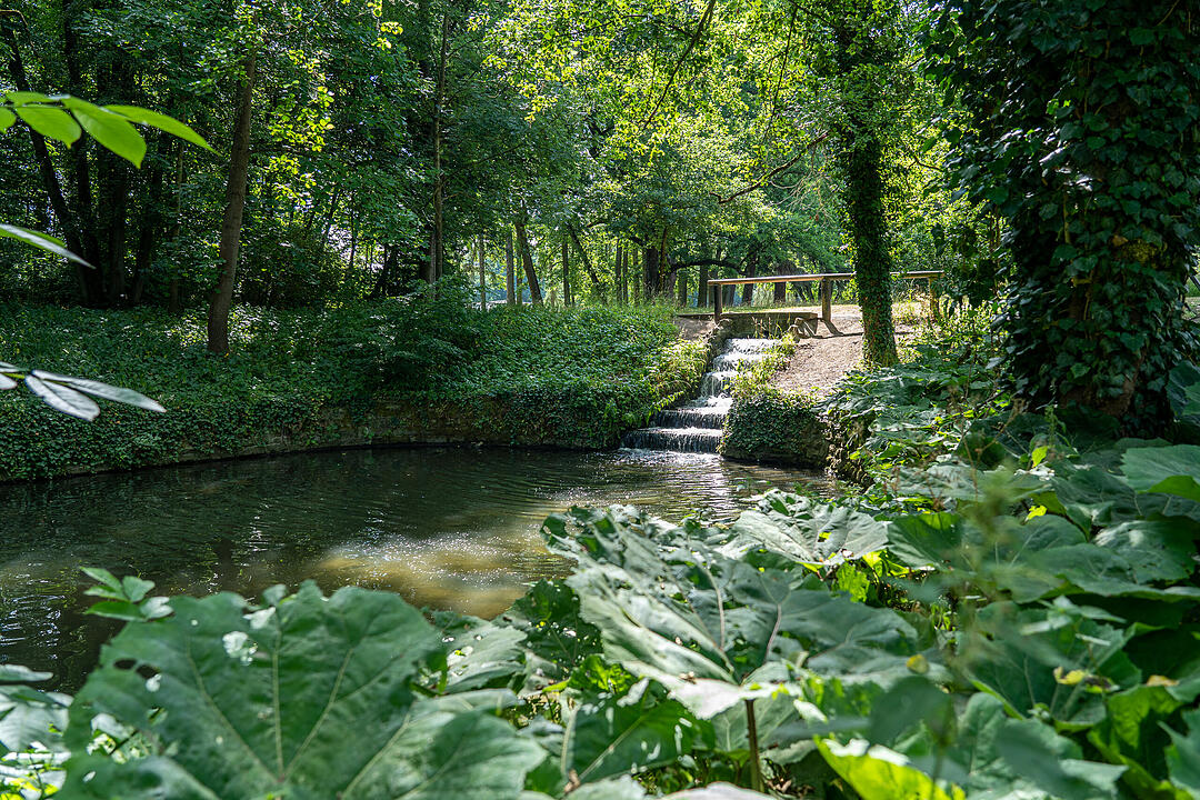 Einer der ältesten Bürgerparks in Bayern
