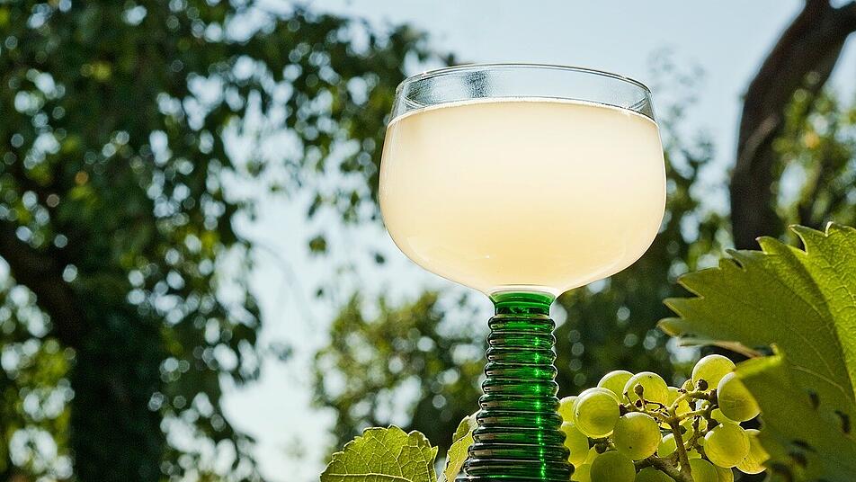 Neuer Wein wird auch als Federweißer oder junger Wein bezeichnet. Er hat im Herbst Saison.