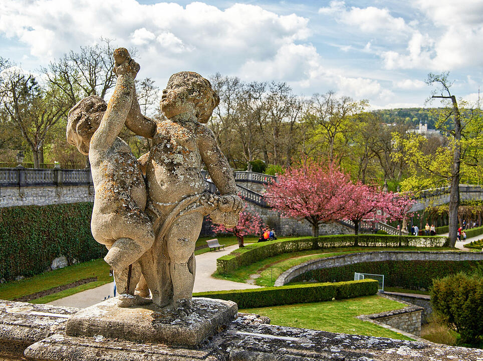 Baumblüte im Hofgarten der Würzburger Residenz