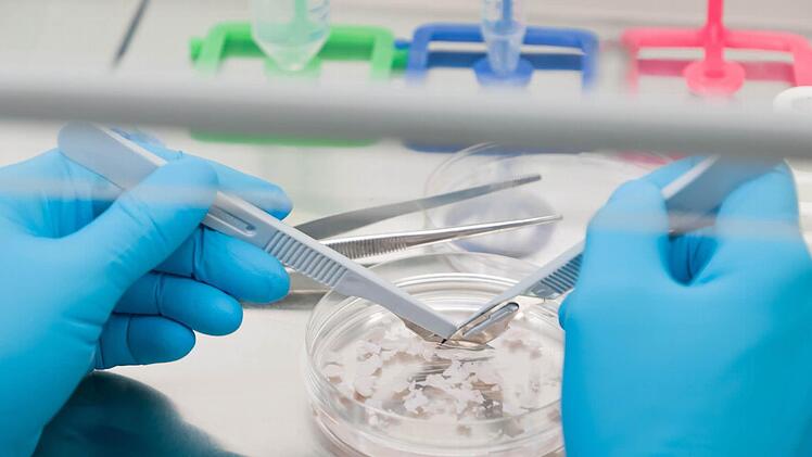 Aus der Pipette werden die Eizellen auf einen Träger (Straw) gegeben, mit einer Kappe verschlossen und auf eine Alu-Halterung gesetzt. Foto: Uni-Klinikum Erlangen