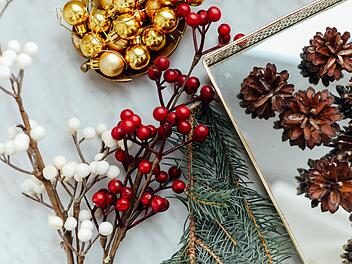 Die Zweige der Stechpalme wirken als Kränzchen oder Gesteck mit anderen Weihnachtspflanzen sehr festlich.