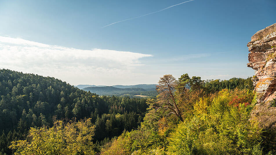 Ausflüge in Rheinland-Pfalz: Radtouren & Wandererlebnisse