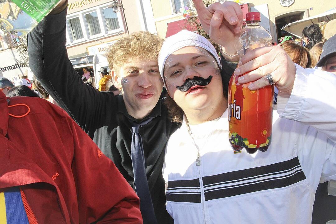Fasching 2025 in Stadtsteinach!