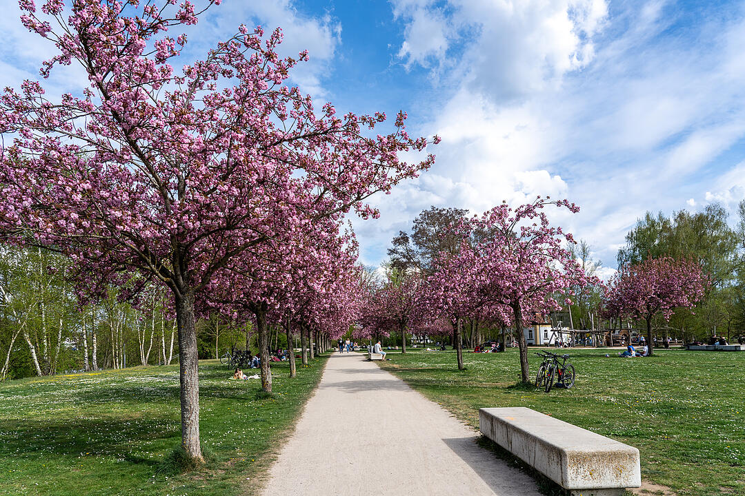 Wunderschönes Naturereignis in Bamberg!