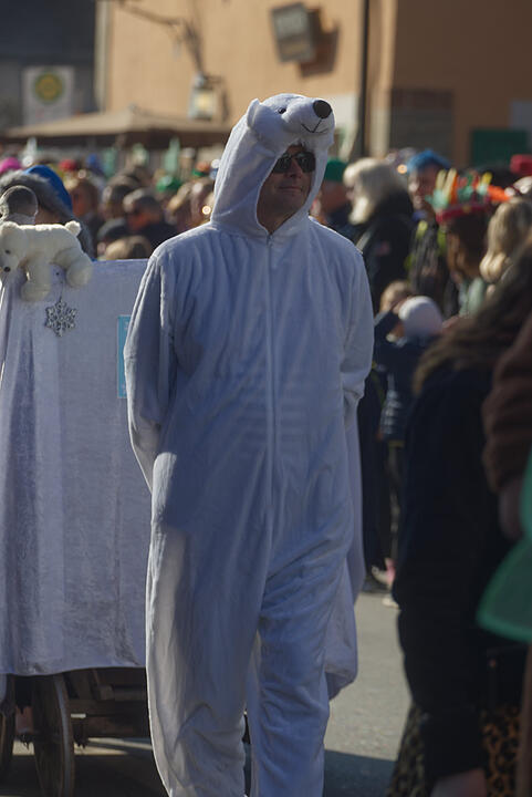 Fasching 2025 in Emskirchen!