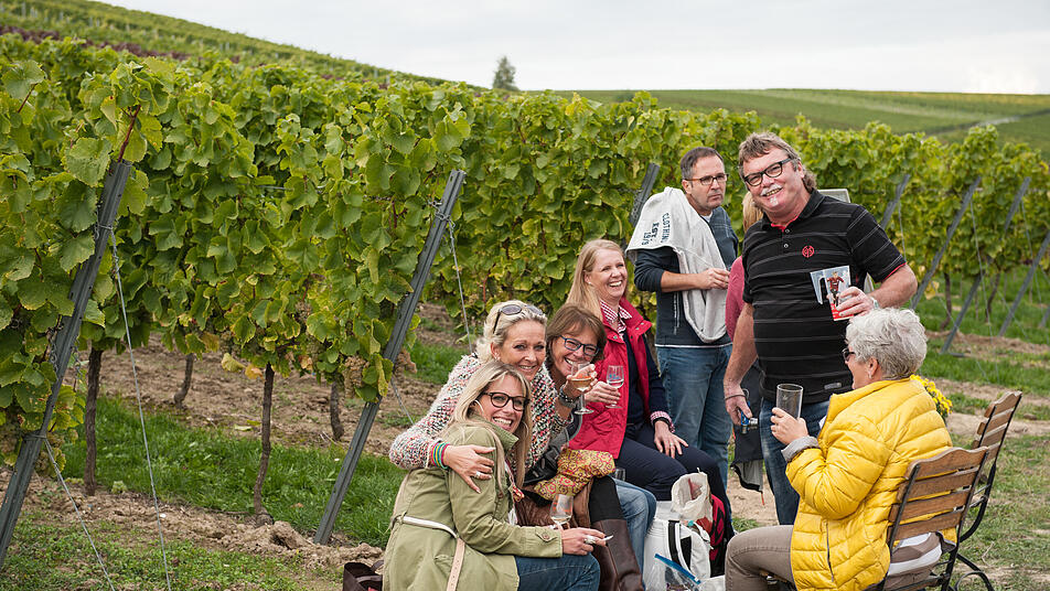 Weinwandernde können zwischen den Reben Wein und die Natur genießen.