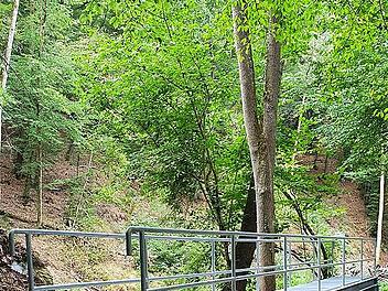 Nach einem Jahr Sperrung ist der Pyrmonter Felsensteig ab sofort wieder geöffnet.