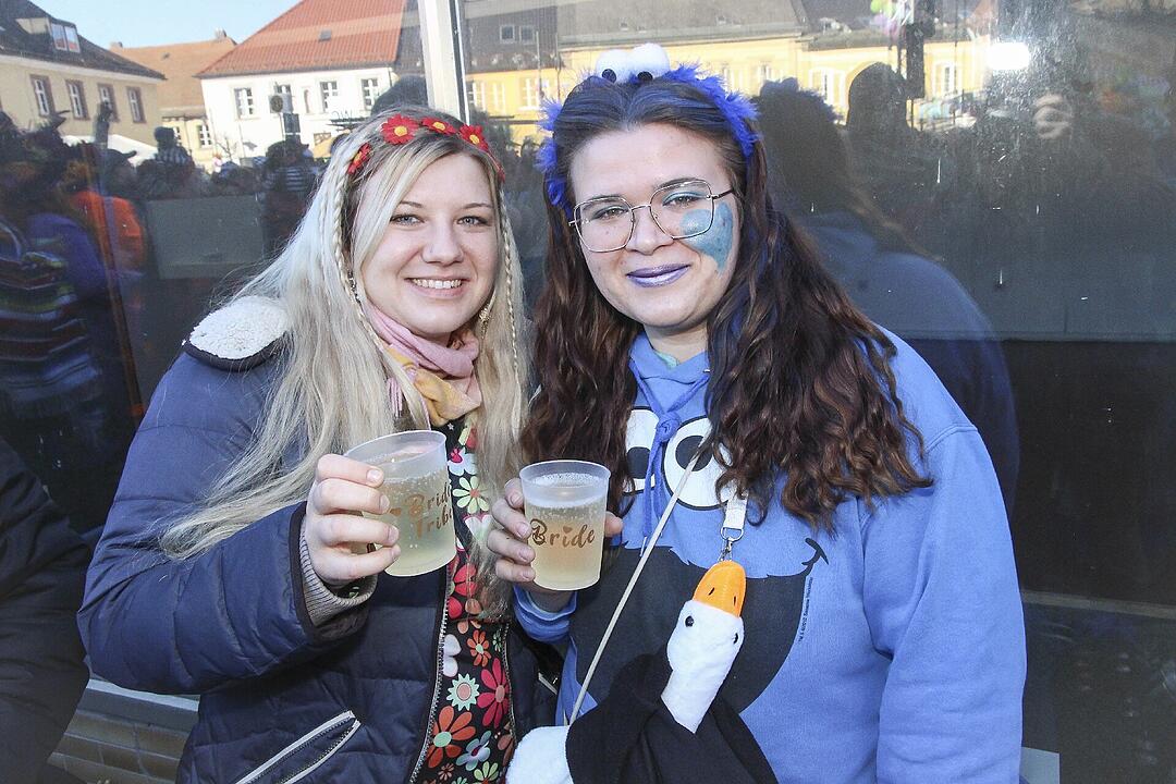 Fasching 2025 in Stadtsteinach!