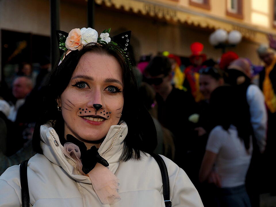 Fasching 2025 in Unterfranken!