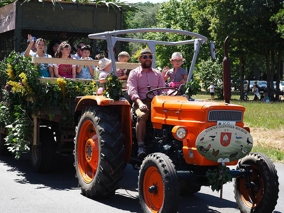 Historischer Festumzug