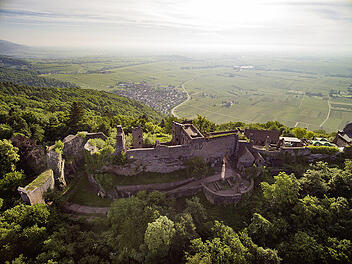Einen herrlichen Weitblick bietet die Madenburg im Pfälzerwald bis zur Rheinebene und zum Schwarzwald.