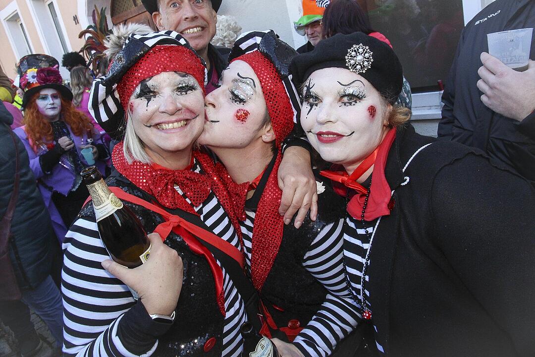 Fasching 2025 in Stadtsteinach!