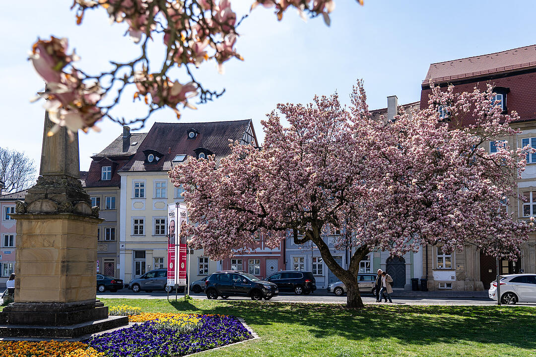 Bamberg im Frühling.