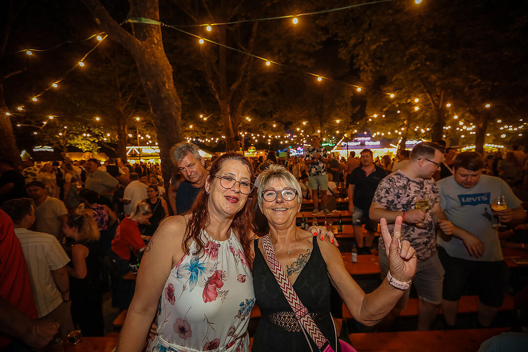 Impressionen vom größten Weinfest in Franken!
