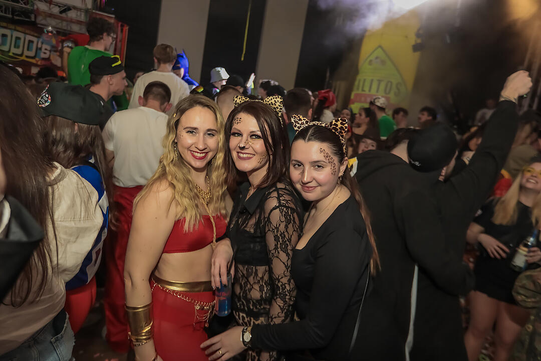 Fasching 2025 in Schweinfurt!