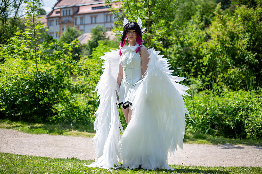 Großes Fantreffen für Manga-, Anime-, Film und Comicfans