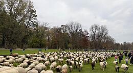 Vorschaubild