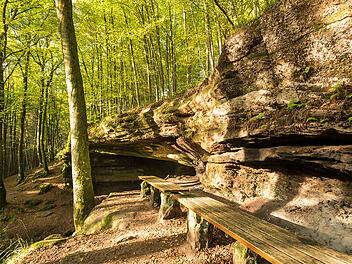 Wandern und Rasten kannst du sehr gut unter beeindruckenden Felsformationen rund um Rodalben.
