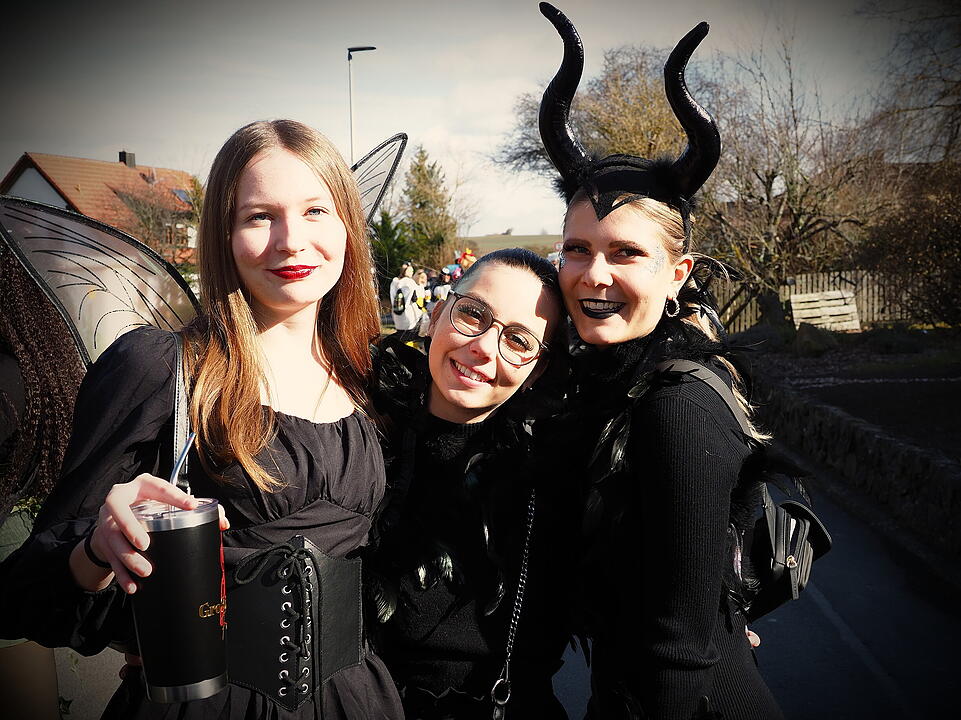 Fasching 2025 im Landkreis Bad Kissingen!