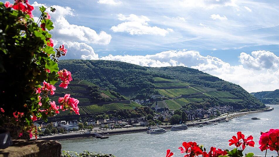 Schönste Wanderwege Deutschlands: Auf dem Rheinsteig geht es durch das malerische Mittelrheintal.