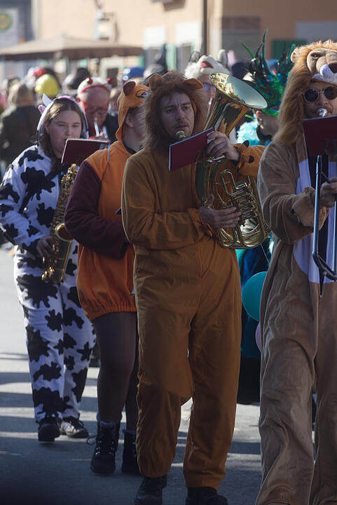 Fasching 2025 in Emskirchen!