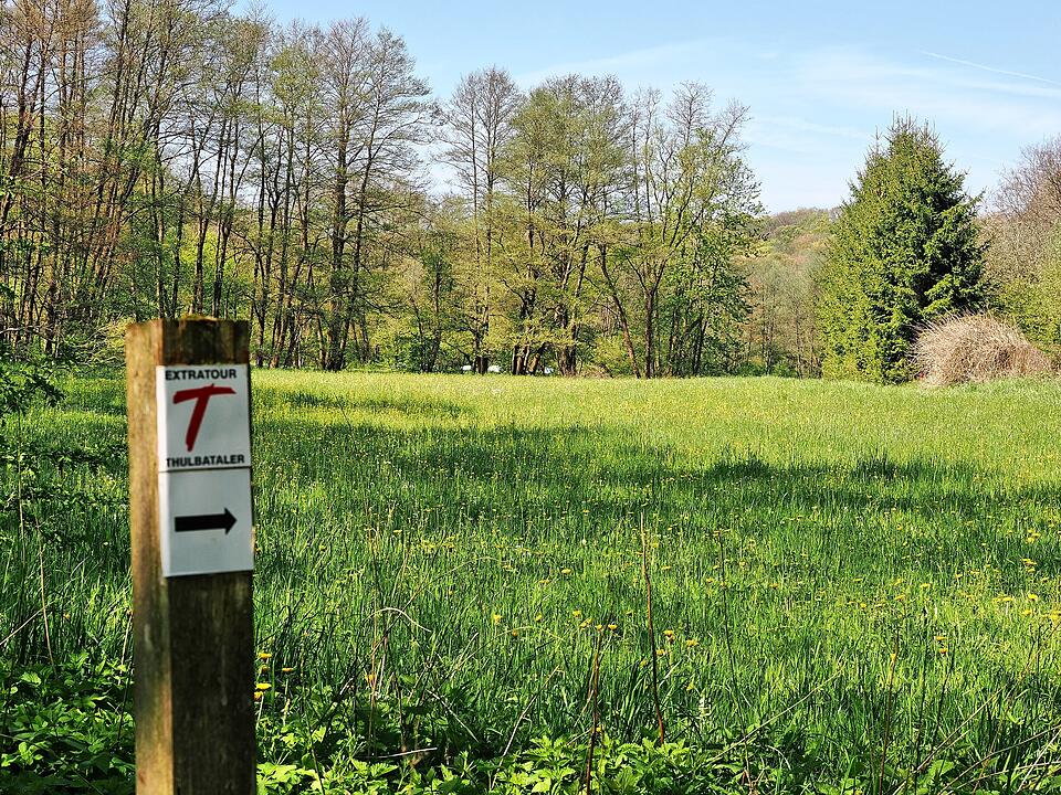 Die Wanderung führt durch eine Kernzone des Biosphärenreservats Rhön.