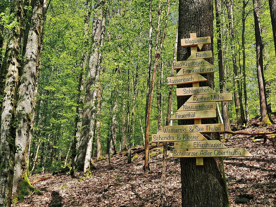 Die Wanderung führt durch eine Kernzone des Biosphärenreservats Rhön.
