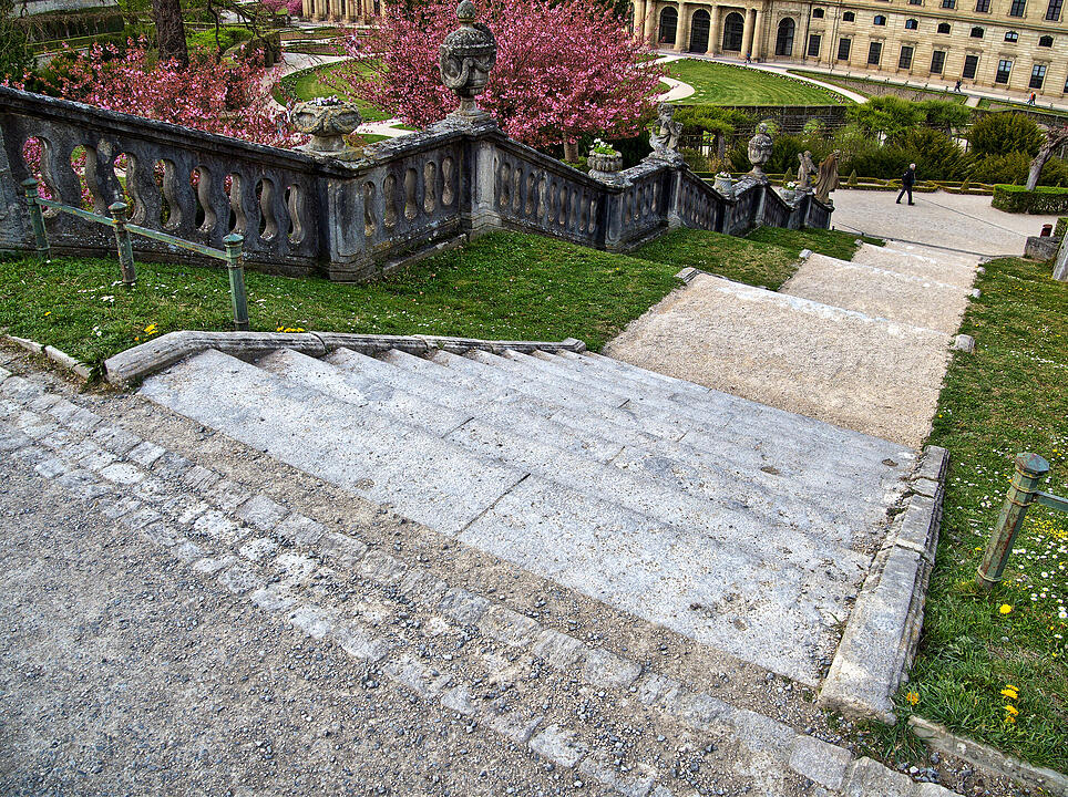 Baumblüte im Hofgarten der Würzburger Residenz