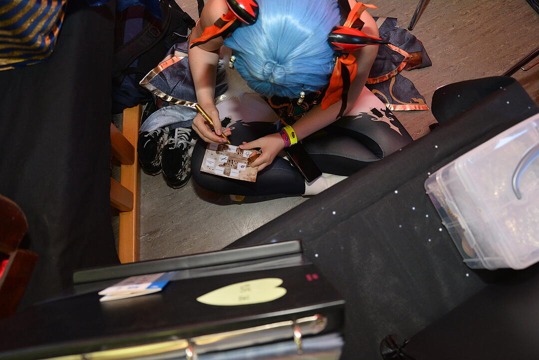 Zahlreiche Manga, Anime und Cosplay-Fans kamen nach Schweinfurt.