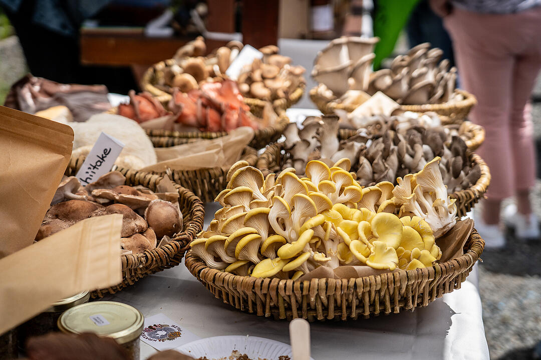 freakstotable e.V. organisierte das super Food-Event!