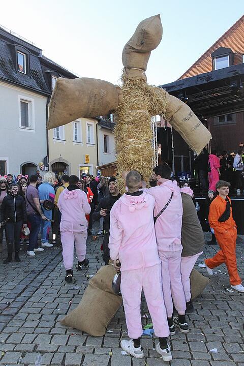 Fasching 2025 in Stadtsteinach!