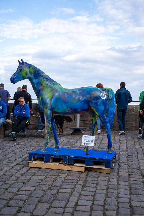 Nürnberg erstrahlte in BLAU.