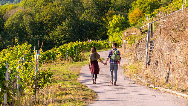Schöne Wanderungen in Rheinland-Pfalz: Dieser Wanderweg belegt Platz 1