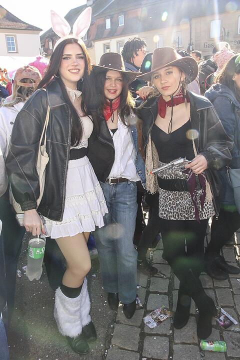 Fasching 2025 in Stadtsteinach!