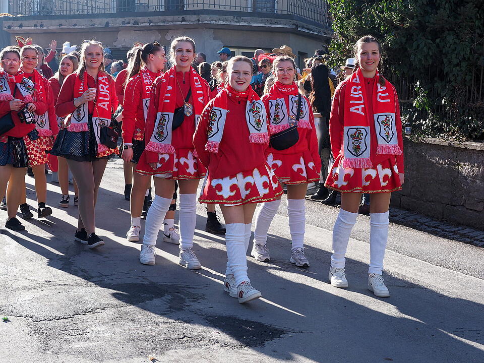 Fasching 2025 im Landkreis Bad Kissingen!