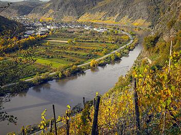 Wandern mit Blick auf die Weinberge.