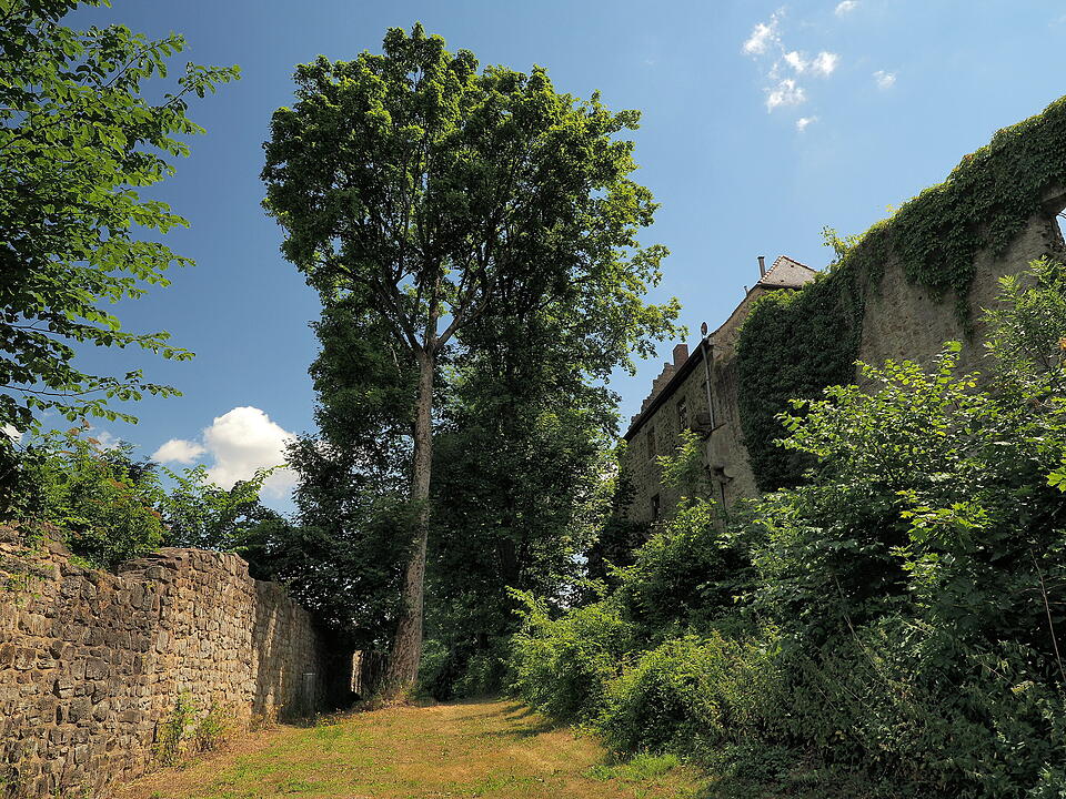 Die Lichtenburg ist eine Ruine auf dem Schloßberg.
