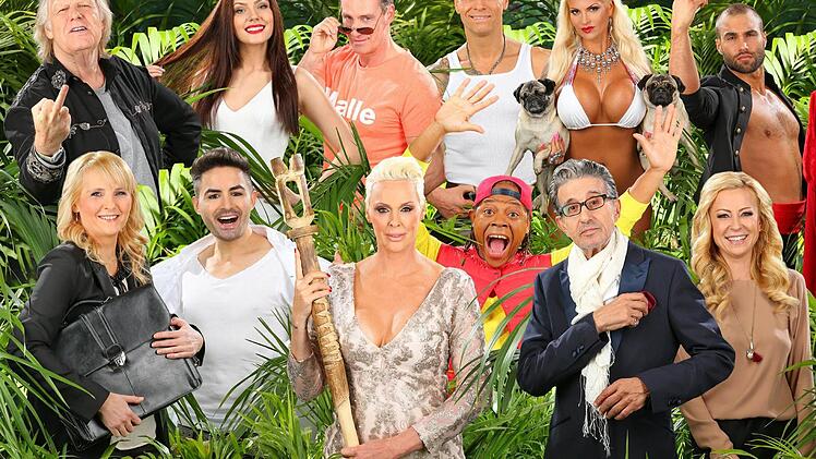 Dschungelcamp 2016: Die 12 Kandidaten Foto: RTL / Stefan Gregorowius