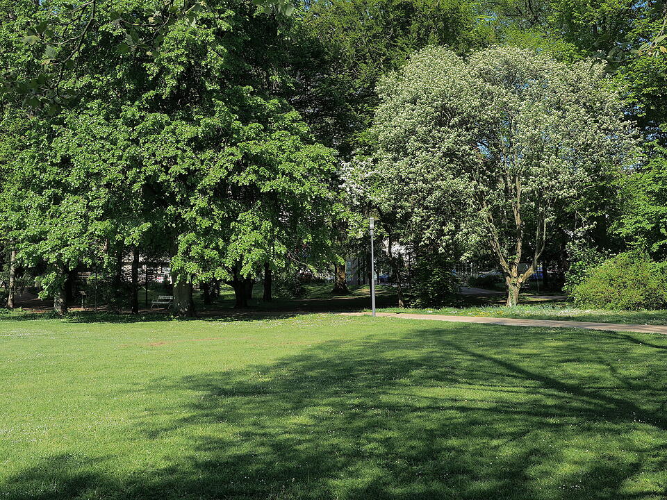 Landschaftsgarten im englischen Stil