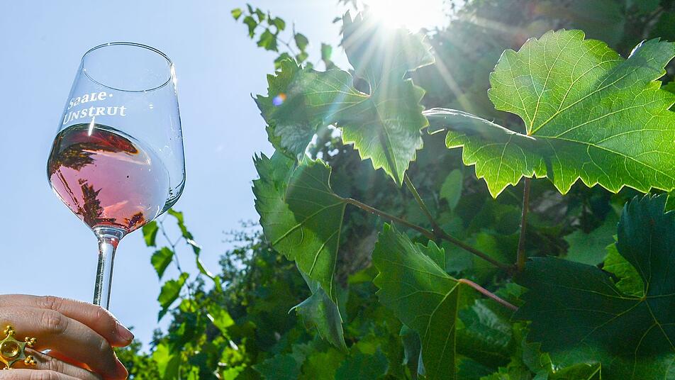 Weine aus Rheinland-Pfalz gehen auf Welttournee - besondere Auszeichnung