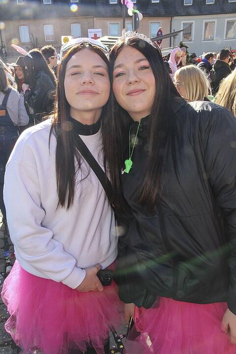 Fasching 2025 in Stadtsteinach!